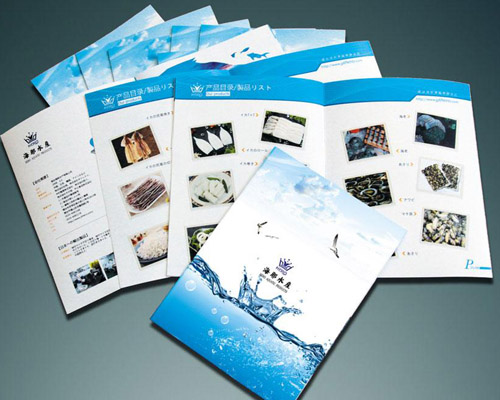 說明書畫(hua)冊